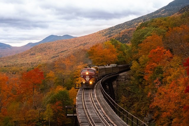 Viaje en Tren por Europa Lujo