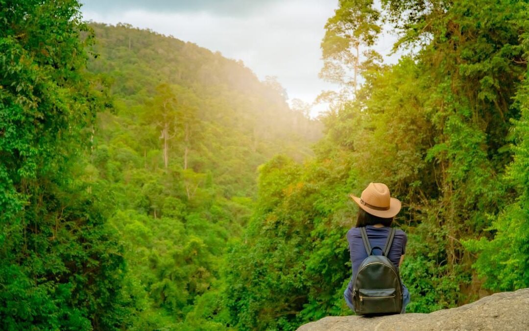 Viaje Sostenible: Cómo Explorar el Mundo de Forma Responsable y Respetuosa 🌳​🌴​🌿