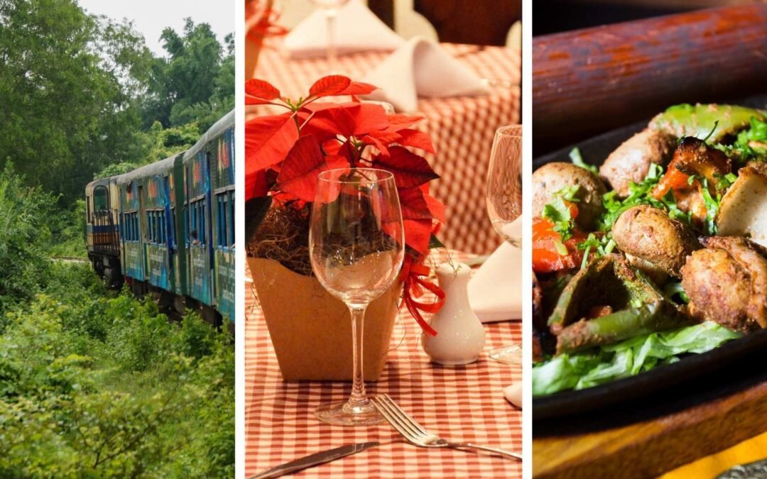 Rutas de Viajes Gastronomicos ✨ ¡Viaje Gastronomico en Tren!