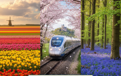 Eurotrip en Primavera: Ruta por los Mejores Paisajes Florales
